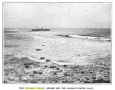 indian-ashore-sowandpigs-1902.jpg (78918 bytes)